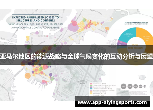 亚马尔地区的能源战略与全球气候变化的互动分析与展望